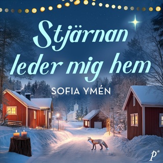 stjarnan-leder-mig-hem