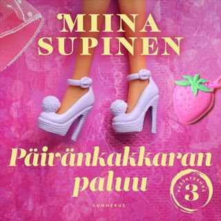 paivankakkaran-paluu