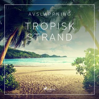 avslappning-tropisk-strand