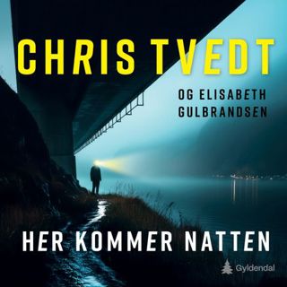 her-kommer-natten