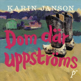 dom-dar-uppstroms