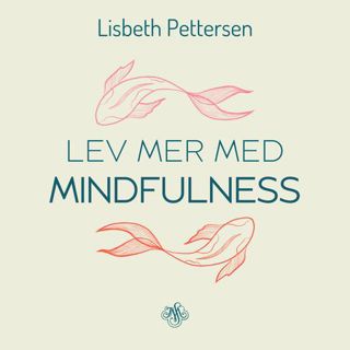 lev-mer-med-mindfulness