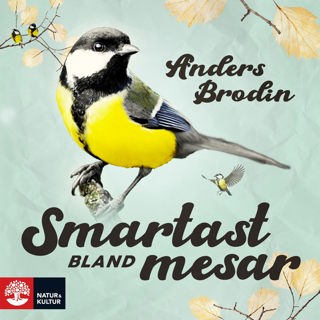smartast-bland-mesar