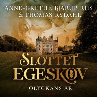 olyckans-ar