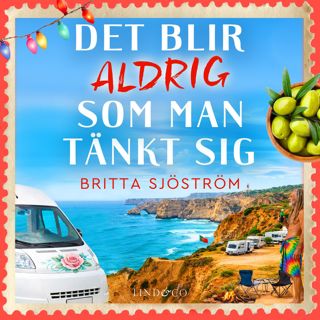 det-blir-aldrig-som-man-tankt-sig