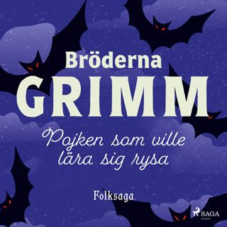 Pojken som ville lara sig rysa