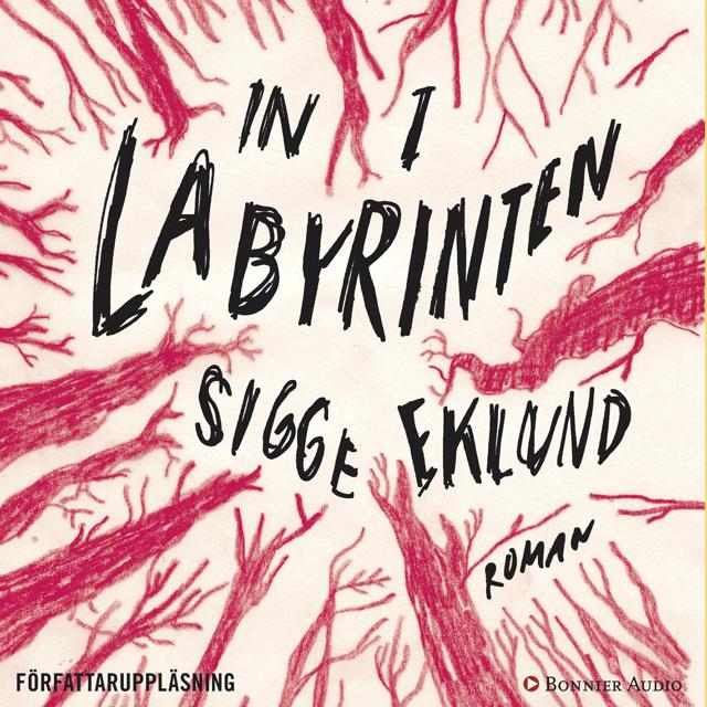 in-i-labyrinten