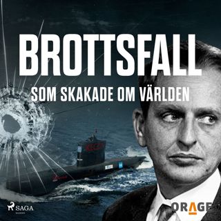 brottsfall-som-skakade-om-varlden