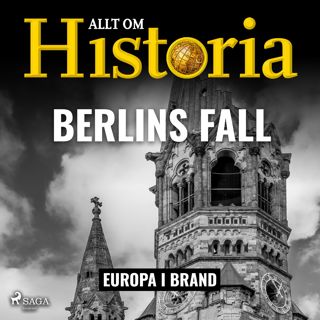 berlins-fall