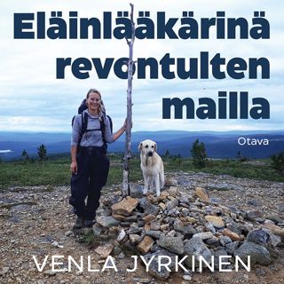 elainlaakarina-revontulten-mailla
