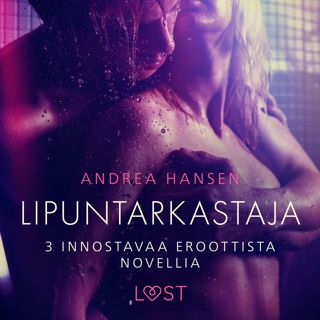 lipuntarkastaja-3-innostavaa-eroottista-novellia