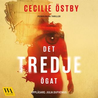 det-tredje-ogat