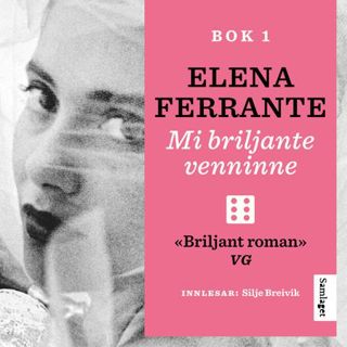 Mi briljante venninne