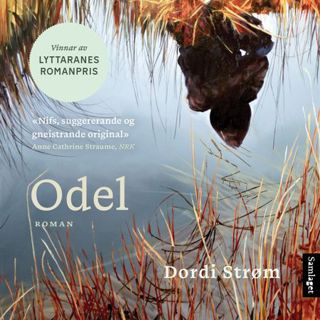 odel-2