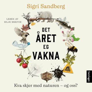 det-aret-eg-vakna