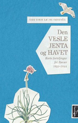 den-vesle-jenta-og-havet