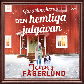 den-hemliga-julgavan