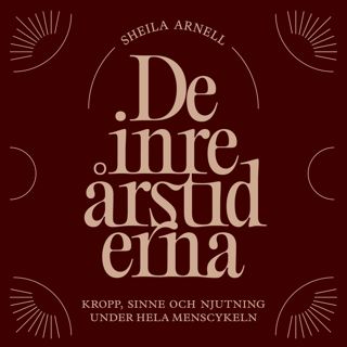 de-inre-arstiderna