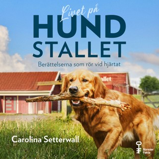 livet-pa-hundstallet-berattelserna-som-ror-vid-hjartat