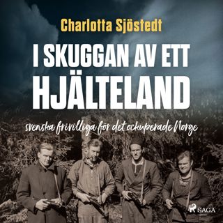 i-skuggan-av-ett-hjalteland