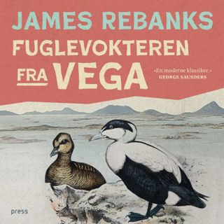 fuglevokteren-fra-vega