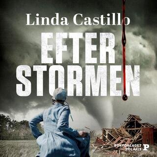 efter-stormen-2