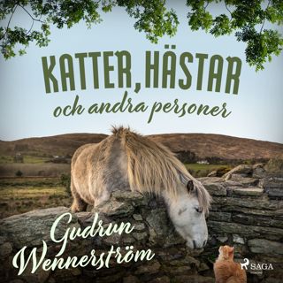 katter-hastar-och-andra-personer