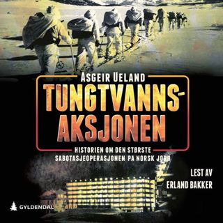 tungtvannsaksjonen