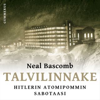 talvilinnake