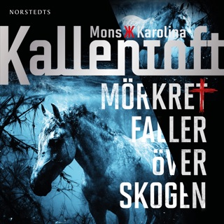 morkret-faller-over-skogen