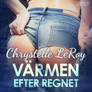 Värmen efter regnet - erotisk novell