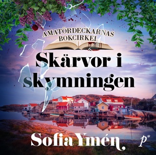 skarvor-i-skymningen