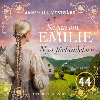 nya-forbindelser