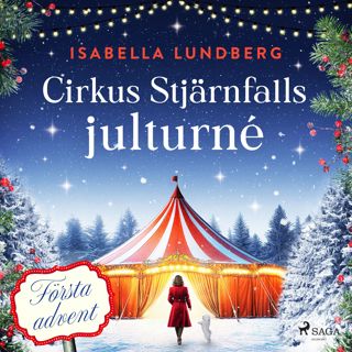 cirkus-stjarnfalls-julturne-forsta-advent