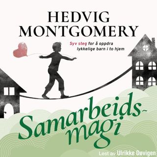 samarbeidsmagi