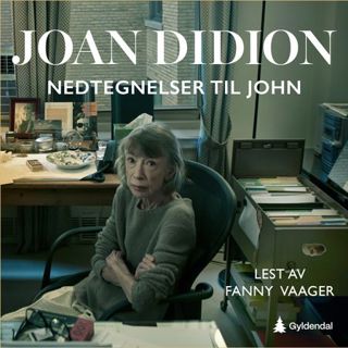 nedtegnelser-til-john