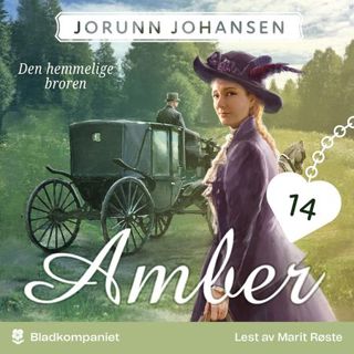 den-hemmelige-broren