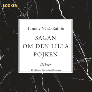 Sagan om den lilla pojken
