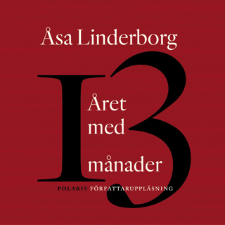 Året med 13 månader : en dagbok