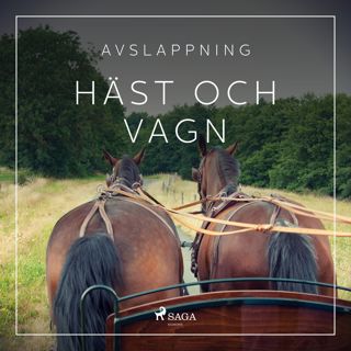 avslappning-hast-och-vagn