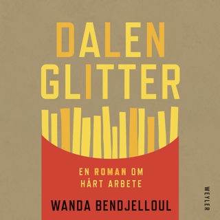 Dalenglitter : en roman om hårt arbete
