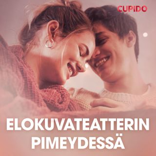 Elokuvateatterin pimeydessä - eroottinen novelli
