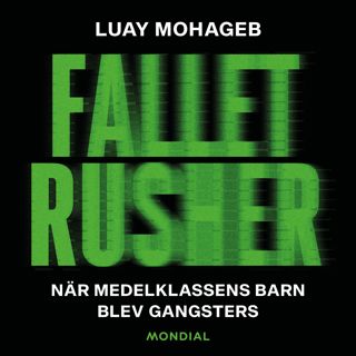 fallet-rusher-nar-medelklassens-barn-blev-gangsters