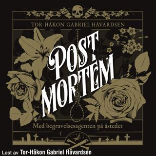 post-mortem-3