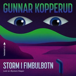 storm-i-fimbulbotn