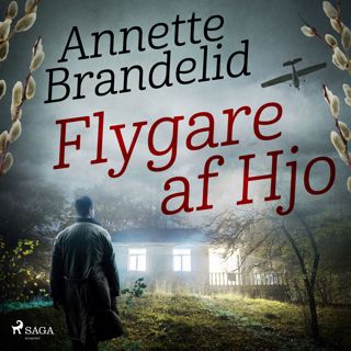 flygare-af-hjo