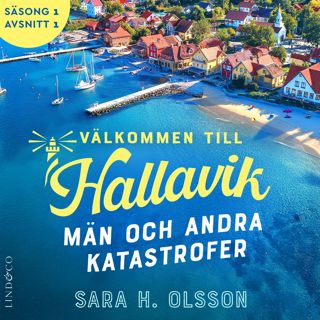 Män och andra katastrofer (S1E1 Välkommen till Hallavik)