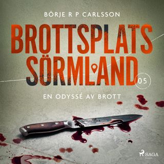 Brottsplats Sörmland. 5, En odyssé av brott