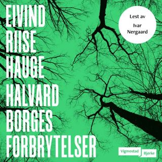 halvard-borges-forbrytelser