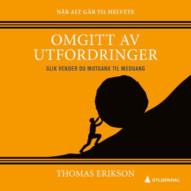 omgitt-av-utfordringer